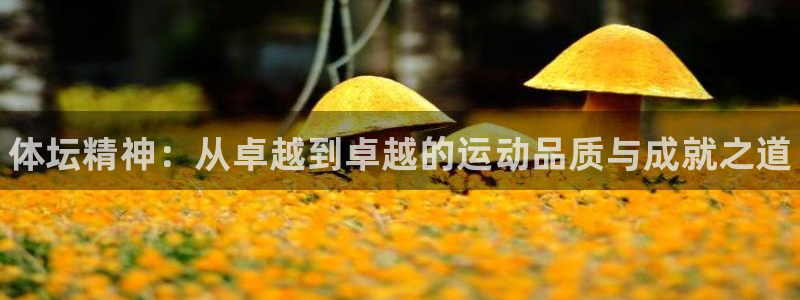 vsport体育官网下载招商电话号码是多少：体坛精神