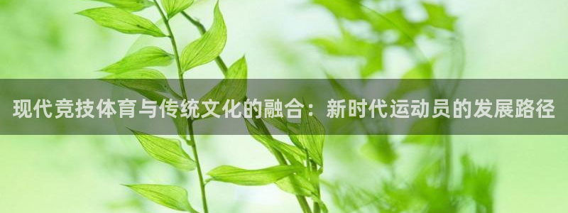 vsport体育官方正版app集团简介：现代竞技体育