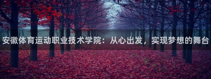 vsport体育官网下载招商：安徽体育运动职业技术学院：从心