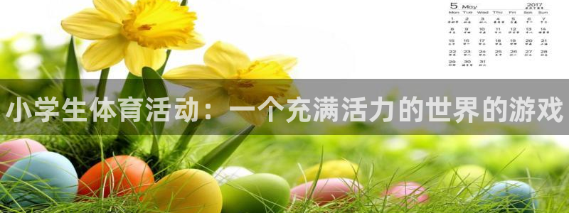 vsport体育官方正版app集团官网首页网址