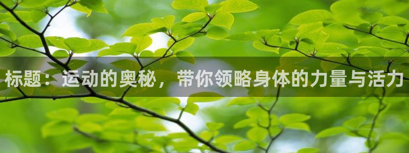 vsport体育官网下载平台注册：标题：运动的奥秘，带你领略