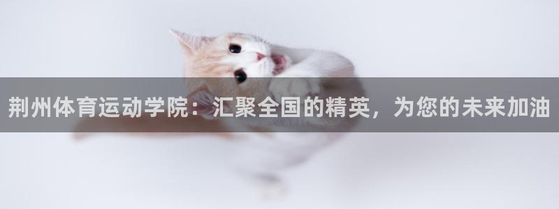 vsport体育官方正版app代理：荆州体育运动学院