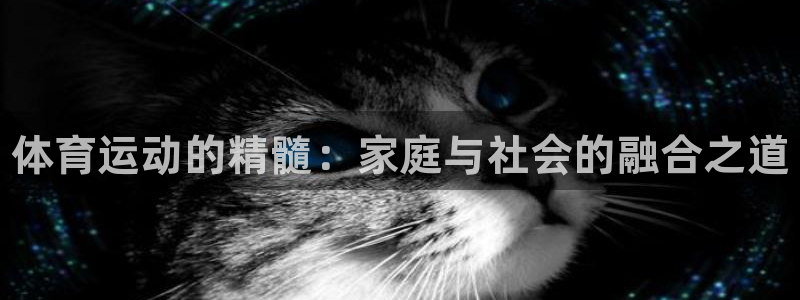 vsport体育官方正版app科技：体育运动的精髓：