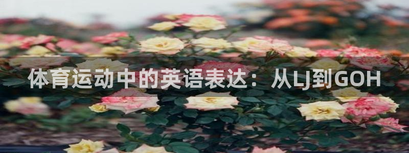 vsport体育官网下载平台APP：体育运动中的英语表达：从