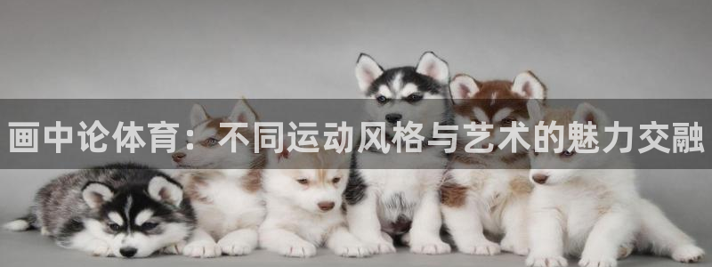 vsport体育官网下载平台假的吗是真的吗：画中论体
