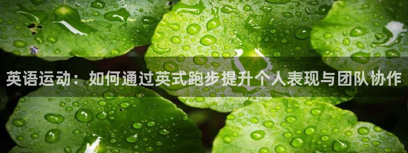 vsport体育官网下载平台注册要钱吗：英语运动：如