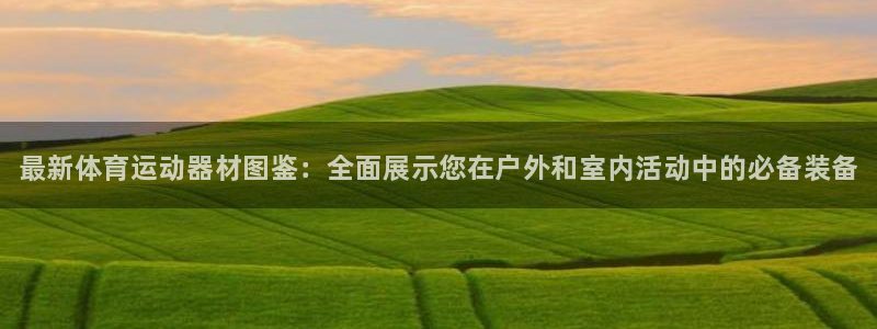 vsport体育官方正版app官方：最新体育运动器材