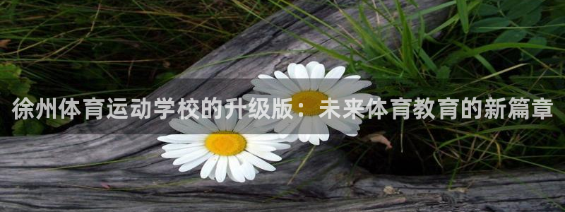 vsport体育官网下载招商电话地址查询：徐州体育运