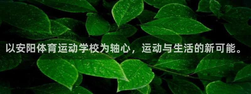 vsport体育官网下载平台