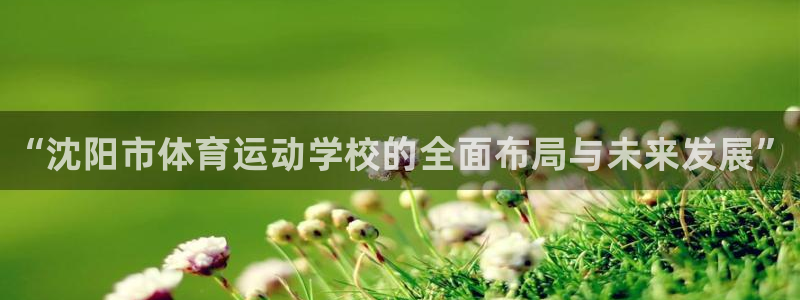vsport体育官方正版app集团官网网址