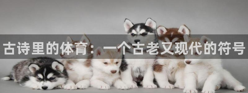 vsport体育官方正版app集团E.ON：古诗里的体育：一
