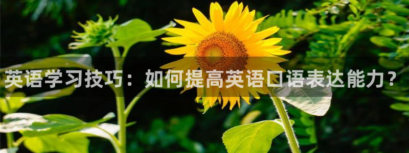 vsport体育官网下载注册：英语学习技巧：如何提高英语口语