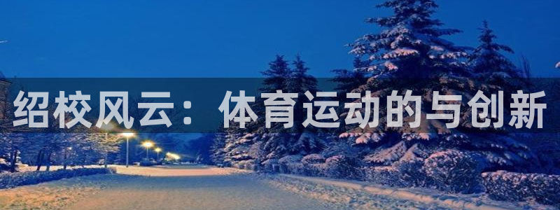 vsport体育官网下载平台是正规平台吗安全吗