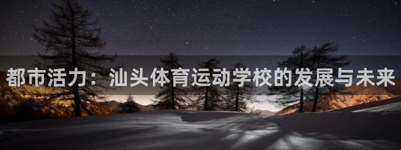 vsport体育官网下载平台APP
