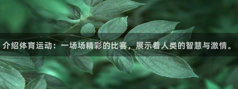 vsport体育官方正版app官网