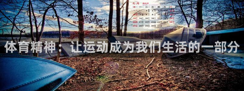 vsport体育官方正版app娱乐40996：体育精神：让运