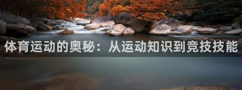 vsport体育官网下载招商电话地址