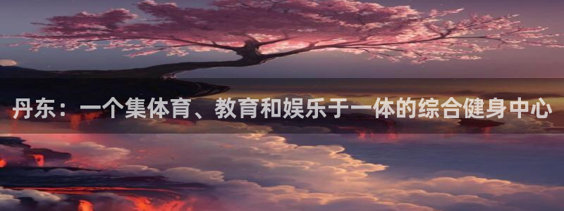 vsport体育官网下载平台是正规平台吗