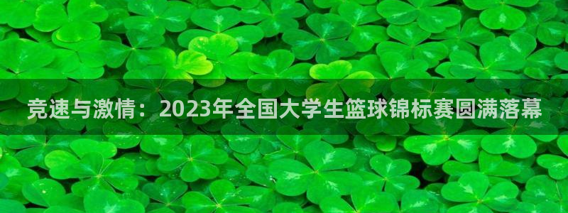 vsport体育官网下载平台注册要钱吗是真的吗：竞速与激情：