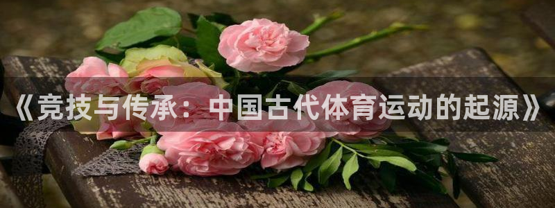 vsport体育官网下载招商电话号码是多少：《竞技与传承：中