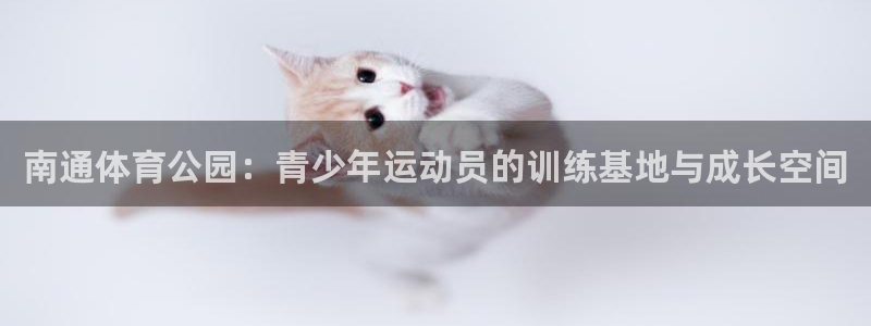 vsport体育官方平台体育