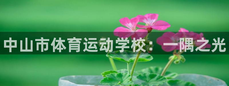 vsport体育官方正版app集团官网首页网址：中山市体育运