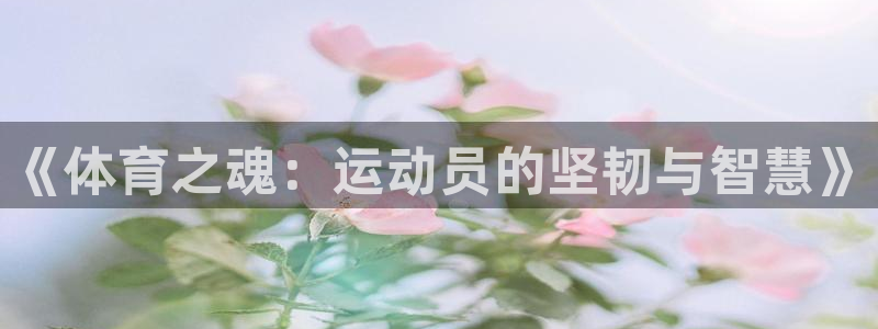 vsport体育官网下载招商：《体育之魂：运动员的坚