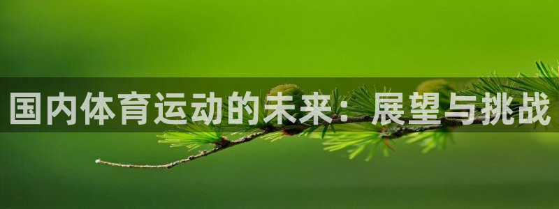 vsport体育官方集团官网：国内体育运动的未来：展