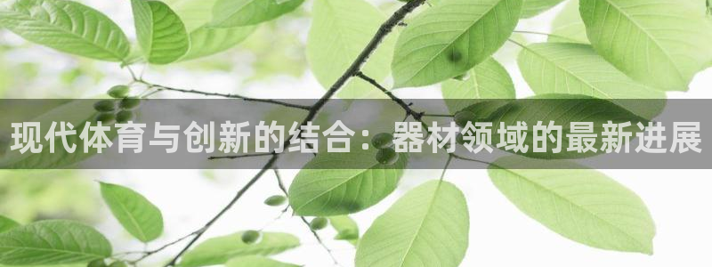 vsport体育官方正版app娱乐下载：现代体育与创