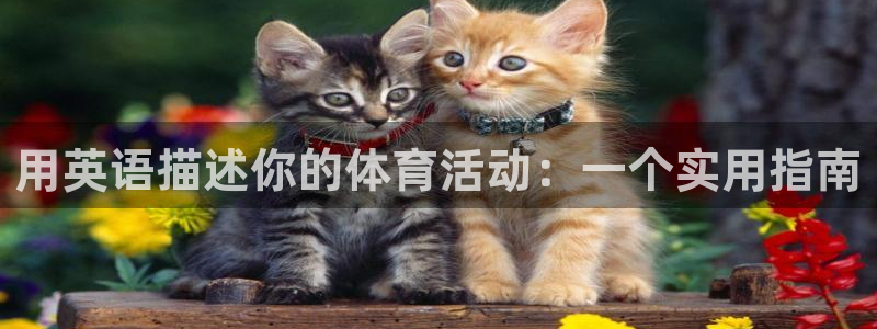 vsport体育官网下载平台APP：用英语描述你的体