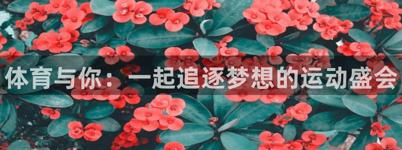 海南vsport体育官网下载发展怎么样：体育与你：一