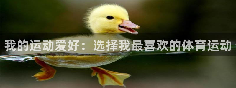 vsport体育官网下载平台假的吗是真的吗吗：我的运动爱好：