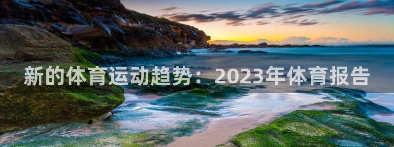 vsport体育官网下载是干嘛的公司