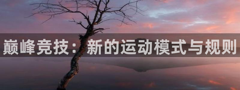 vsport体育官网下载平台是正规平台吗安全吗：巅峰竞技：新