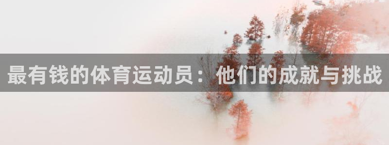 vsport体育官方正版app娱乐首页网站大全：最有钱的体育