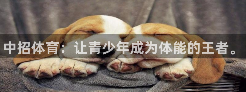 vsport体育官网下载平台假的吗是真的吗吗：中招体育：让青