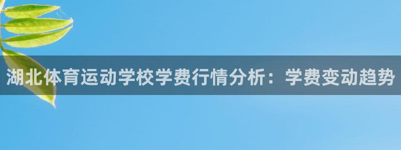 vsport体育官方正版app代理