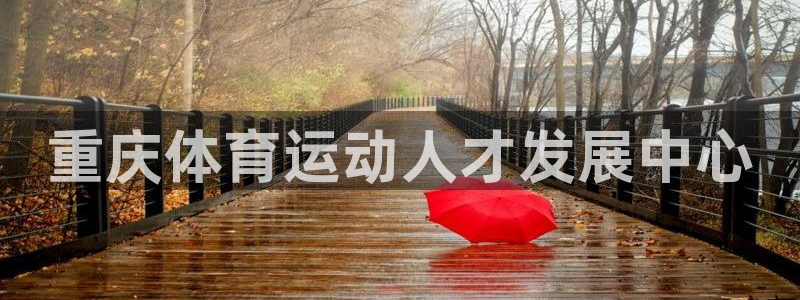 vsport体育官方正版app娱乐是那个系列的台子：重庆体育