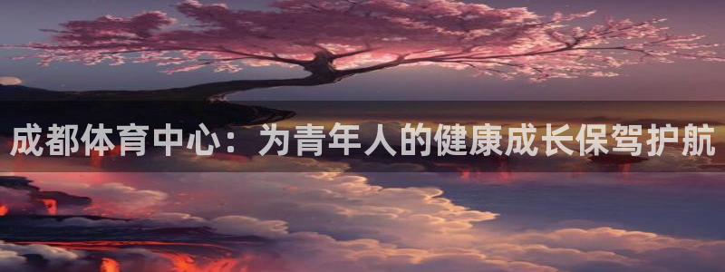 vsport体育官网下载招商电话地址：成都体育中心：为青年人