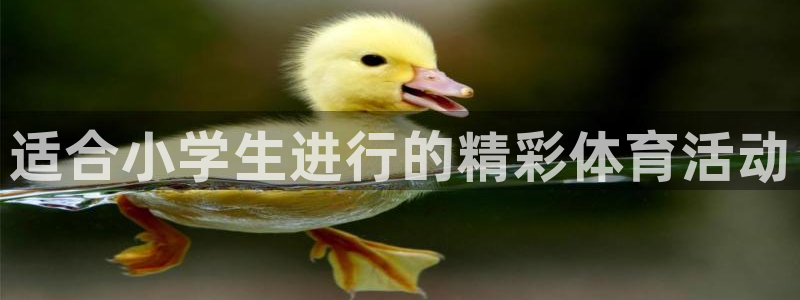 vsport体育官方正版app娱乐平台：适合小学生进