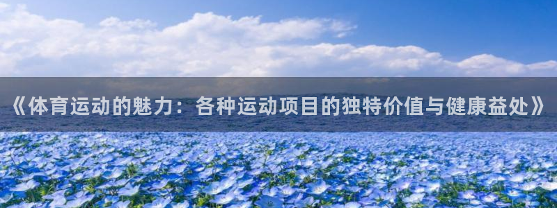 vsport体育官方集团官网：《体育运动的魅力：各种运动项目