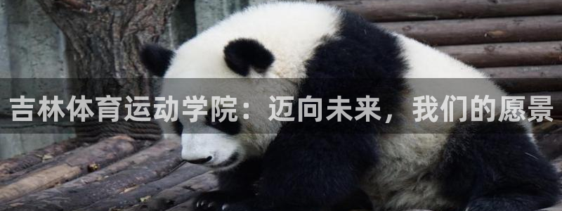 vsport体育官网下载招商电话号码是多少号