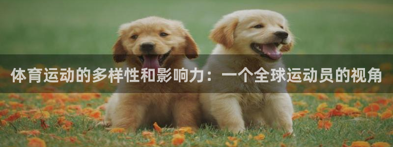 vsport体育官网下载平台注册流程图：体育运动的多样性和影