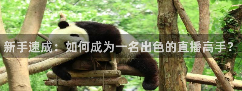 so米体育nba直播吧