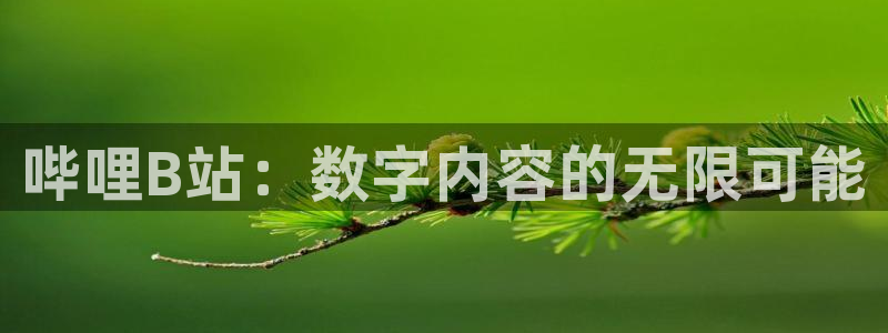 so米体育直播网站：哔哩B站：数字内容的无限可能