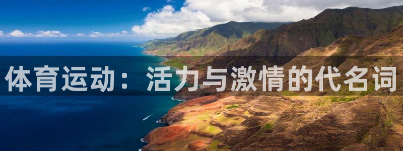  vsport体育：体育运动：活力与激情的代名词