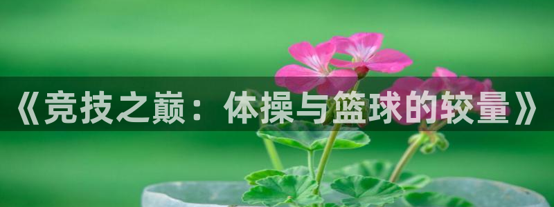 vsport体育平台app下载安装免费：《竞技之巅：体操与篮