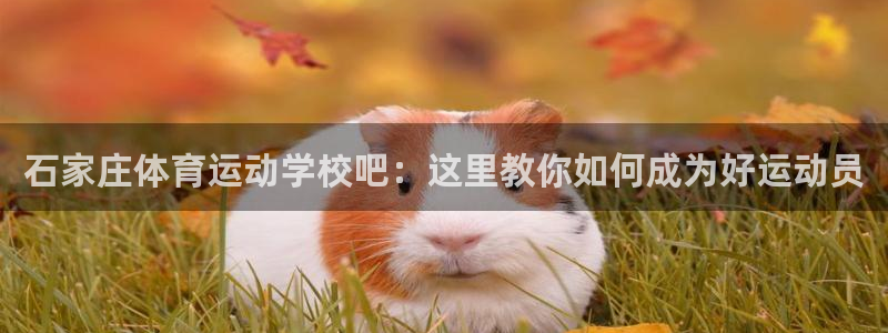 vsport体育官网：石家庄体育运动学校吧：这里教你如何成为
