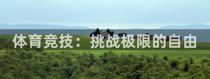 vsport体育在线官网：体育竞技：挑战极限的自由
