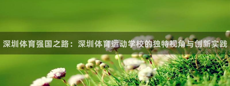  vSport体育app最新版本更新内容：深圳体育强国之路：深